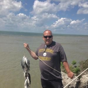 Meet your Posher, Dave